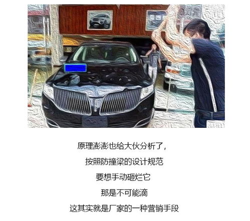 汽车共有多少种油